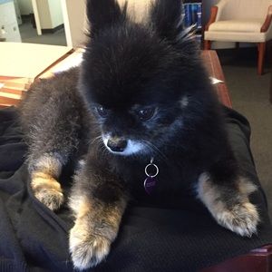 Meet your Posher, Leah